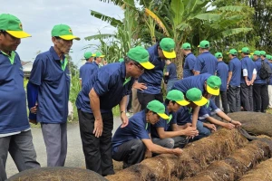 'Hồi sinh' rơm rạ cho nền nông nghiệp xanh, tăng lợi nhuận