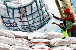 Tính cấm nhập khẩu thêm 30 ngày, Philippines tự ‘trói tay’ mình trước gạo Việt?