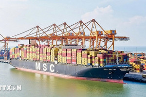 Đối trọng của Gemadept, VIMC, Viconship đón hãng tàu container lớn nhất thế giới
