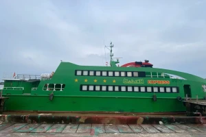 Vụ cưỡng chế tàu cao tốc Mai Linh Express để thu nợ: Hoãn thi hành án