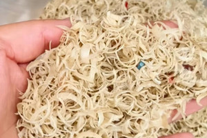 Móng tay người được thu mua với giá hơn 2 triệu đồng/kg để làm thuốc cổ truyền