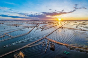TP trực thuộc Trung ương trẻ nhất Việt Nam sở hữu đầm phá lớn nhất Đông Nam Á tạo ra thứ đặc sản quý hiếm có tiền khó mua được