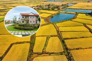 Từ nay, chuyển một phần đất nông nghiệp thành đất ở cần đáp ứng điều kiện này