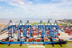 Việt Nam đang trở thành điểm sáng trên bản đồ hàng hải quốc tế