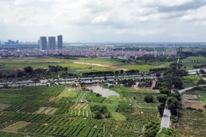 Thêm 3 thủ tục mới về đất đai làm tại cấp xã