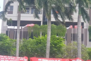 Tranh chấp chung cư không thể giải quyết bằng các quy định 'chắp vá'