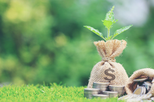 Một doanh nghiệp sắp trả cổ tức tiền mặt tỷ lệ 150%