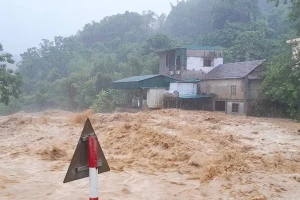 Phú Thọ, Lào Cai di dời hơn 1.000 hộ dân tránh mưa lũ, sạt lở sau bão số 10