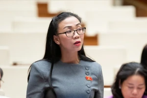 Đại biểu Quốc hội đề xuất 'chặn' hàng giả, quảng cáo sai sự thật từ livestream bán hàng