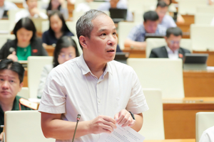 Phó Thống đốc Ngân hàng Nhà nước: Không bảo hiểm ngoại tệ để chống 'đô la hóa' nền kinh tế