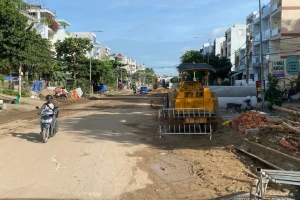 TPHCM: 'Chủ yếu xoay quanh nâng đường, cả thành phố cùng nâng, nhưng ngập vẫn hoàn ngập'