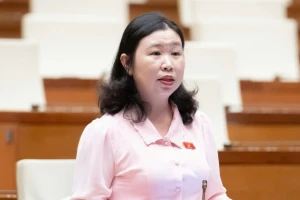 Vụ Vạn Thịnh Phát khối lượng công việc cực kỳ lớn, giám định tối đa 3 tháng là 'bất khả thi'