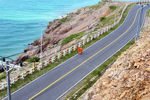 Đặc khu duy nhất của TP. HCM sẽ dùng 2.000m2 rừng xây 9 tuyến đường