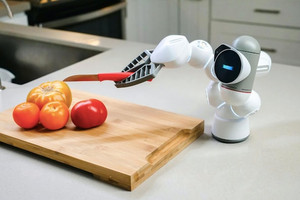 Khi AI mang hình hài robot sống giữa chúng ta