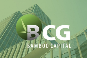 Bamboo Capital (BCG) đạt bước tiến trong tái cấu trúc, lùi thời điểm công bố BCTC đến cuối năm