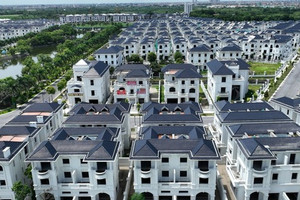 Đánh thuế đất bỏ hoang: Giải pháp cấp bách để lập lại kỷ cương thị trường bất động sản