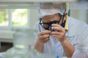Thu hút nhân tài không đặt nặng vấn đề bằng cấp