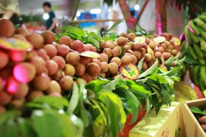 Xuất khẩu rau quả Việt Nam đạt 6,2 tỷ USD sau 9 tháng, lộ diện mặt hàng giữ vững 'ngôi vương'