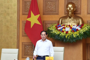 Tập đoàn Vingroup nhận nhiệm vụ quan trọng từ Phó Thủ tướng, phải hoàn thành trước ngày 6/10