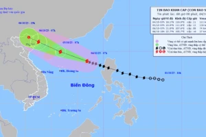 Bão số 11 Matmo có thể giật đến cấp 16, tiếp tục gây mưa lớn