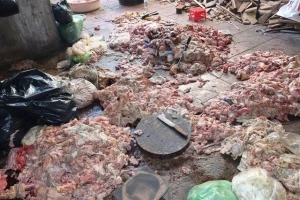 Cảnh tượng rùng mình bên trong cơ sở chế biến mỡ heo: Thu giữ 1,5 tấn mỡ heo, chất đống mỡ heo dưới nền nhà