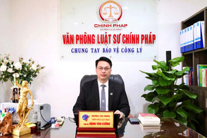TS. LS Đặng Văn Cường phân tích trách nhiệm và mức án mà Hoàng Hường phải đối mặt