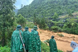 Số người thương vong, mất tích do bão Bualoi tăng lên 235