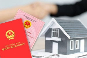 Từ giờ, quyền sử dụng đất của hộ gia đình được ghi nhận minh bạch trên sổ đỏ