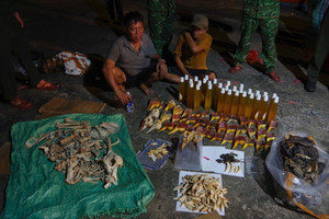 Phát hiện, thu giữ hơn 7 tấn sản phẩm động vật hoang dã vận chuyển trái phép