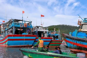 Hải Phòng triển khai nhiều giải pháp ứng phó bão số 11