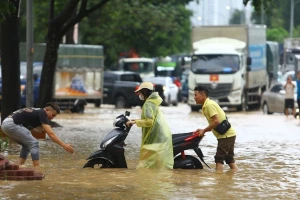 Thứ trưởng Bộ Tài chính: Chỉ cấp phép tối đa cho 5 sàn giao dịch tài sản mã hóa
