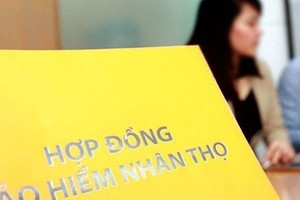 Bắt cựu Giám đốc Đại lý Dai-Ichi Life Việt Nam, nghi chiếm đoạt tiền phí bảo hiểm của khách hàng