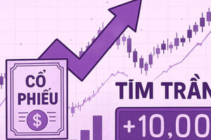 Sau khi cổ phiếu từ ‘trà đá’ được kéo sát mệnh giá, một doanh nghiệp tung kế hoạch phát hành riêng lẻ nhằm hút 250 tỷ đồng