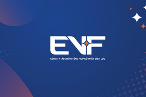 Cổ đông EVF liên tiếp đón tin vui