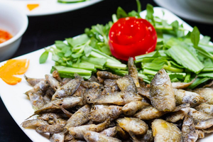 Loại cá xưa đầy ngoài đồng, giờ 'lên đời' thành đặc sản phố thị giá cao vẫn được săn lùng