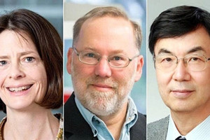 Nobel Y học 2025 vinh danh ba nhà khoa học