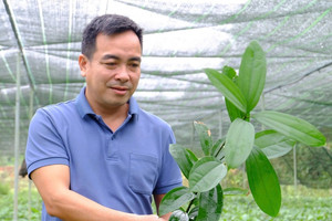 Rời thành phố với mức thu nhập ổn định, bán cả nhà, người đàn ông ở Đà Nẵng bị cho là ‘điên’ khi quyết thực hiện… đi theo giấc mơ mới