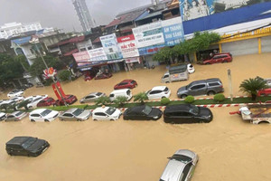 Bão liên tiếp gây thiệt hại, Bảo hiểm Bảo Việt chi bồi thường ước 119 tỷ đồng