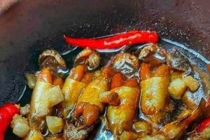 Cá da trơn bụng đầy trứng vàng ươm, mỗi năm chỉ có một mùa, giá cao ngất vẫn được săn lùng