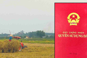 Kể từ nay, những trường hợp này sẽ được cấp đổi sổ đỏ theo quy định