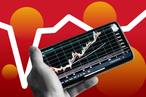 Quỹ nội có hiệu suất chỉ bằng 1/3 VN-Index: Chuyển sang phòng thủ với 62% tiền mặt, danh mục còn một cổ phiếu ngân hàng