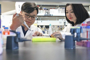 Hai nhà khoa học gốc Việt ‘giải mã’ thành công hợp chất chống ung thư trong tự nhiên