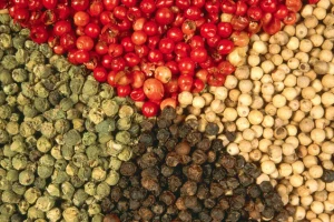 Giá 'vàng đen’ của Việt Nam tăng chóng mặt, nước ta thu gần 1,3 tỷ USD trong 9 tháng