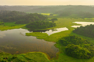 Việt Nam có vườn quốc gia được tôn vinh trên bản đồ du lịch sinh thái quốc tế