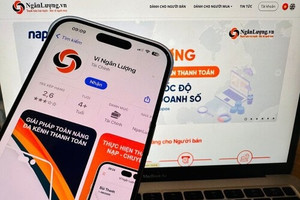 Hé lộ vai trò Cổng thanh toán Ngân Lượng trong vụ án của Shark Bình