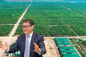 Công ty của ông Trần Bá Dương xúc tiến loạt dự án quy mô 11.000 tỷ