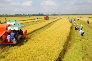 Từ bây giờ, giá đền bù đất trồng lúa khi bị thu hồi đất là bao nhiêu?