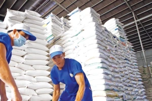 Gạo Việt đi đâu về đâu khi Phillippines, Indonesia siết nhập khẩu?