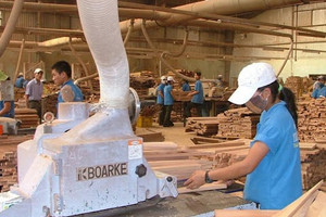 Đối diện đòn thuế tới 50% từ Mỹ, ông lớn ngành gỗ vẫn báo lãi tăng mạnh sau 9 tháng