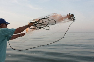 Cổ phiếu Masan (MSN) tăng trần, khối ngoại mua ròng mạnh nhất 3 tháng